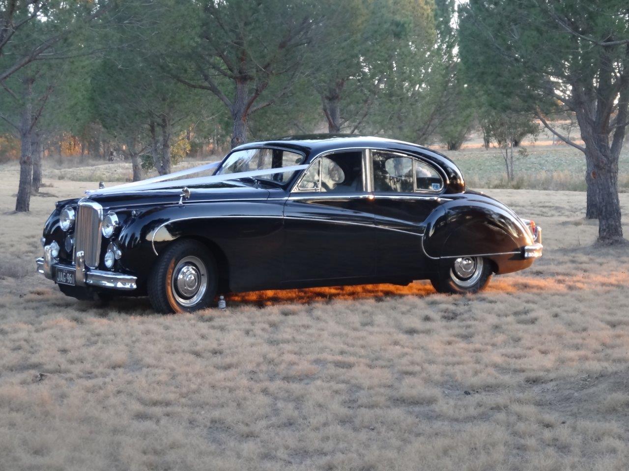 Classic Black Mark IX Jaguar weddings in Brisbane image 1
