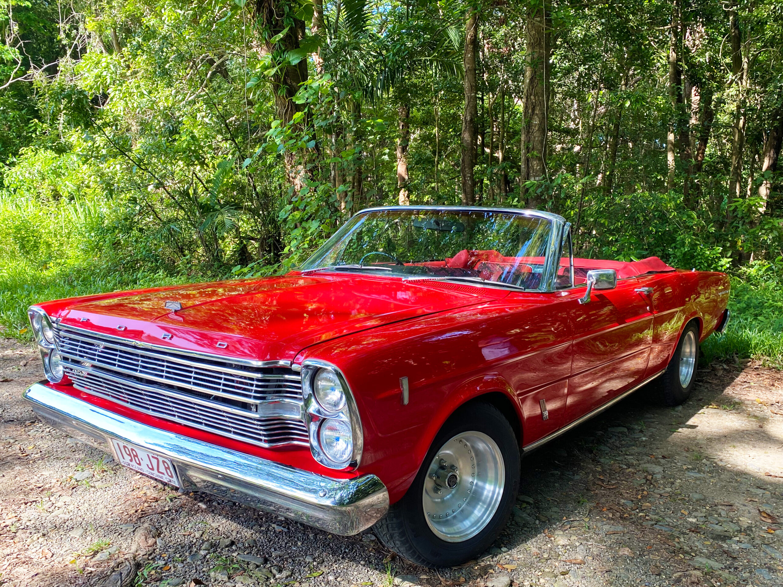 Molly - 1966 Ford Galaxie Convertible