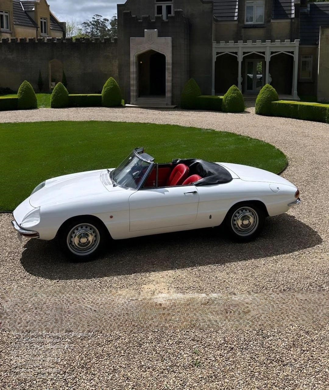 Classic 1966 Alfa Romeo Duetto Spider in white/red photoshoot and promo in Sydney image 1