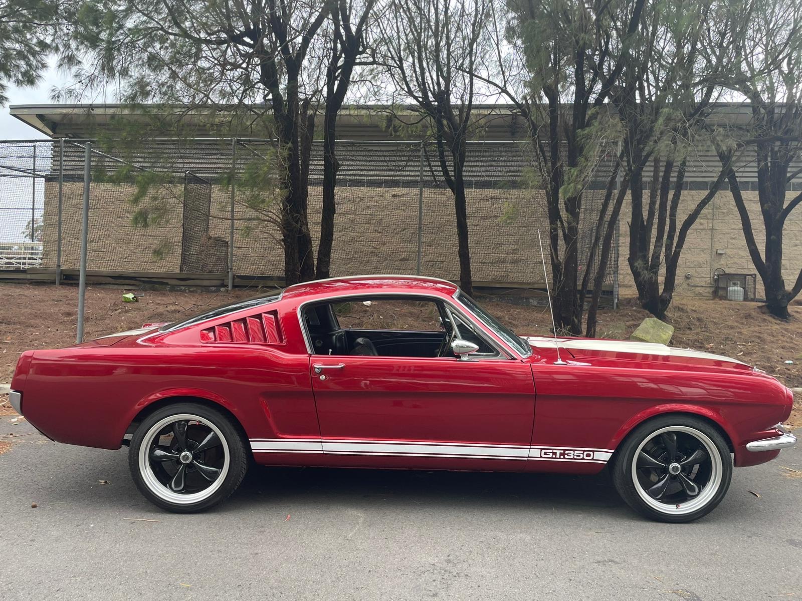 1965 Mustang Fastback Shelby GT350 Tribute